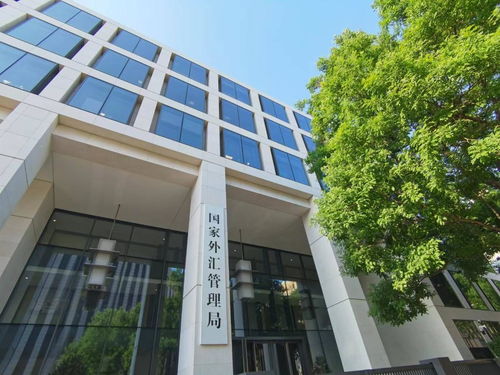 國家外匯局發(fā)布通知擴(kuò)大跨境貿(mào)易投資高水平開放試點(diǎn)